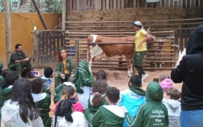 Um Dia na Fazendinha: Aprendizado, Diversão e Natureza com o Fundamental I!