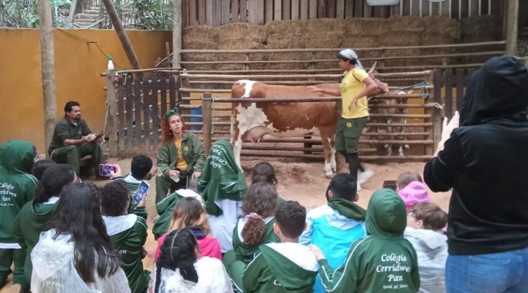 Um Dia na Fazendinha: Aprendizado, Diversão e Natureza com o Fundamental I!